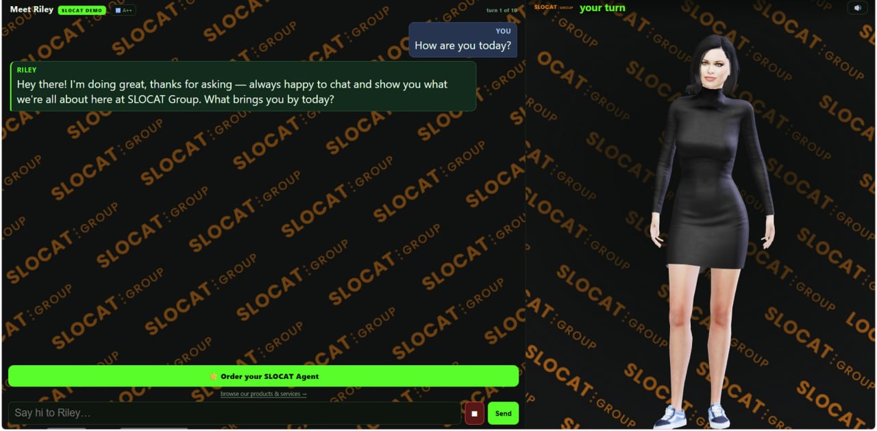 Preview of the live Riley demo